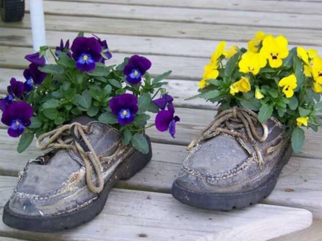 shoe_planter